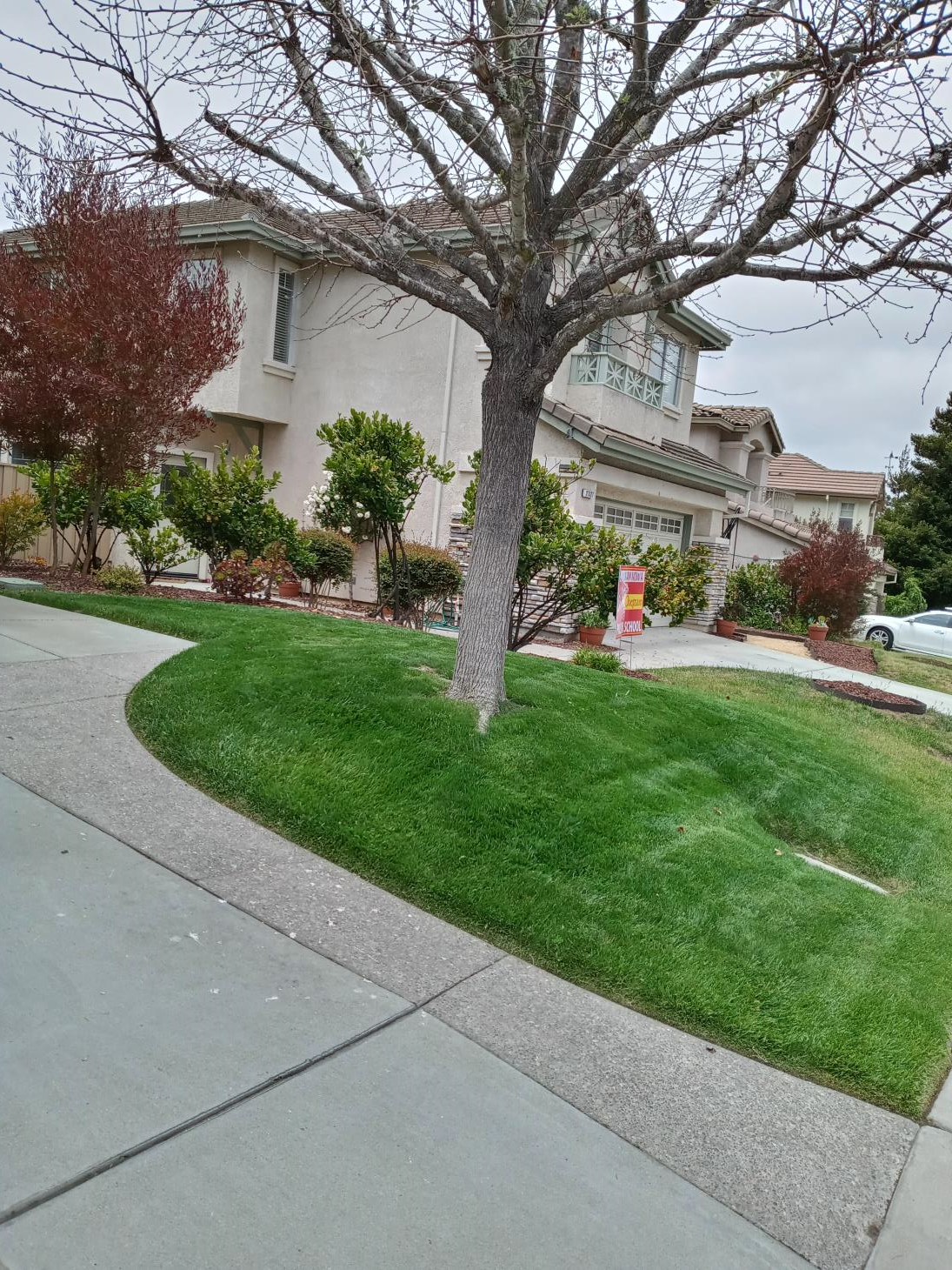 Hernandez Lawn Care and Gardening Services: Service Image-3 Hernandez Lawn Care and Gardening Services: Service Image-3