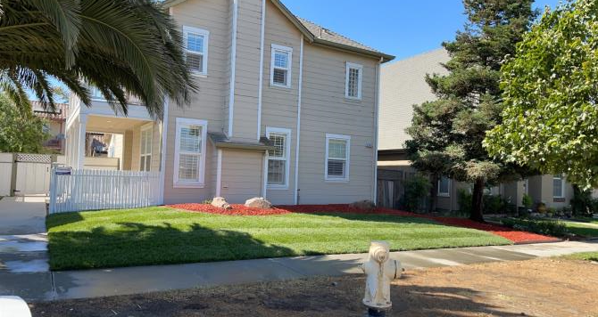 Hernandez Lawn Care and Gardening Services: Service Image-4