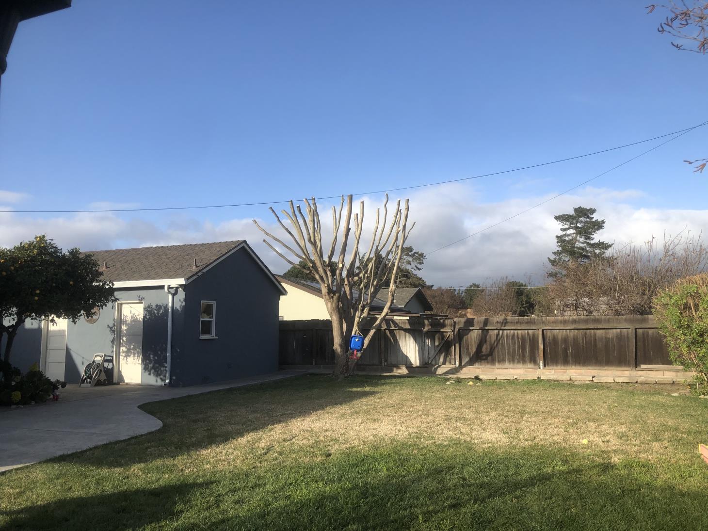 Hernandez Lawn Care and Gardening Services: Service Image-5