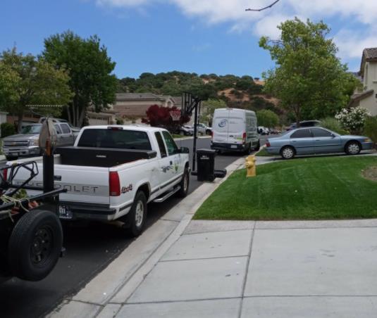 Hernandez Lawn Care and Gardening Services: Service Image-7